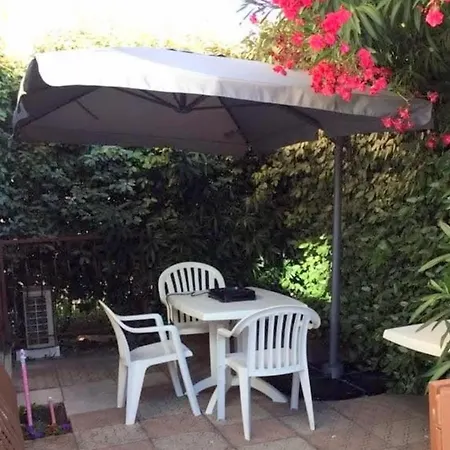 Of 36 M2 With Terrace Appartement Sanary-sur-Mer